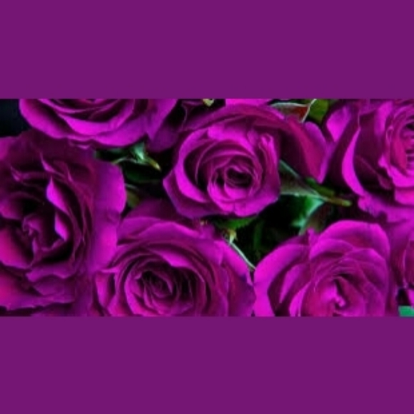 Eyn iPhone 4 4S Phone Case Wallet Wristlet With Storage Space & Mirror - Purple - Picture 8 of 8